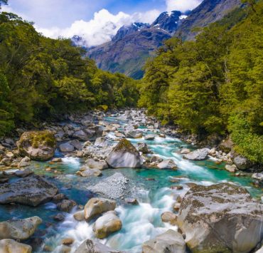 Milford-Road