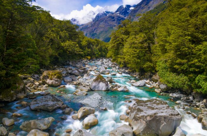 Milford-Road