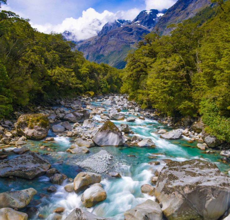 Milford-Road