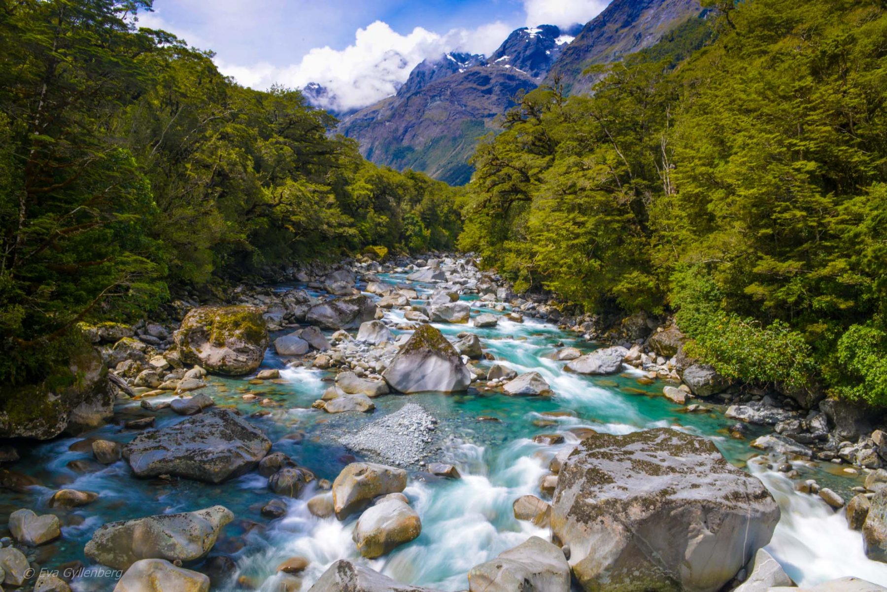 Milford Road