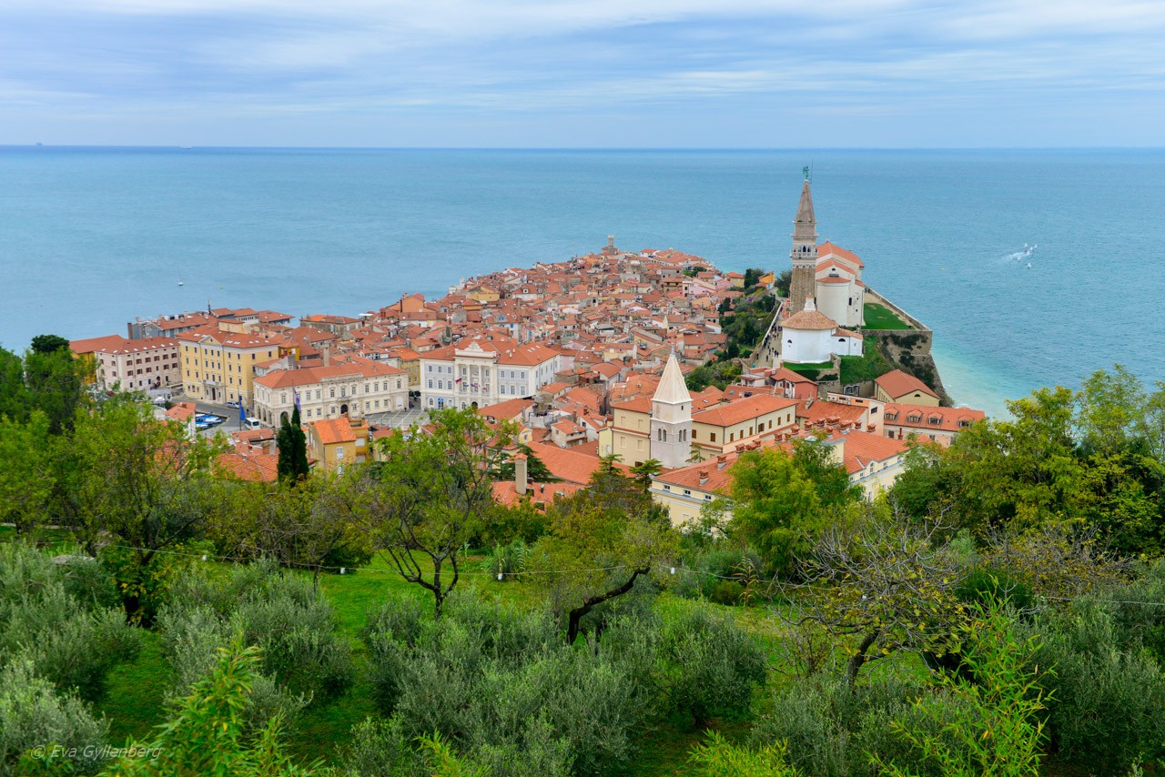 Piran- ett restips till Slovenien
