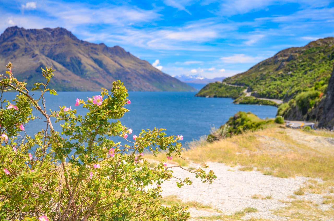 Isblö sjö på vägen till Queenstown