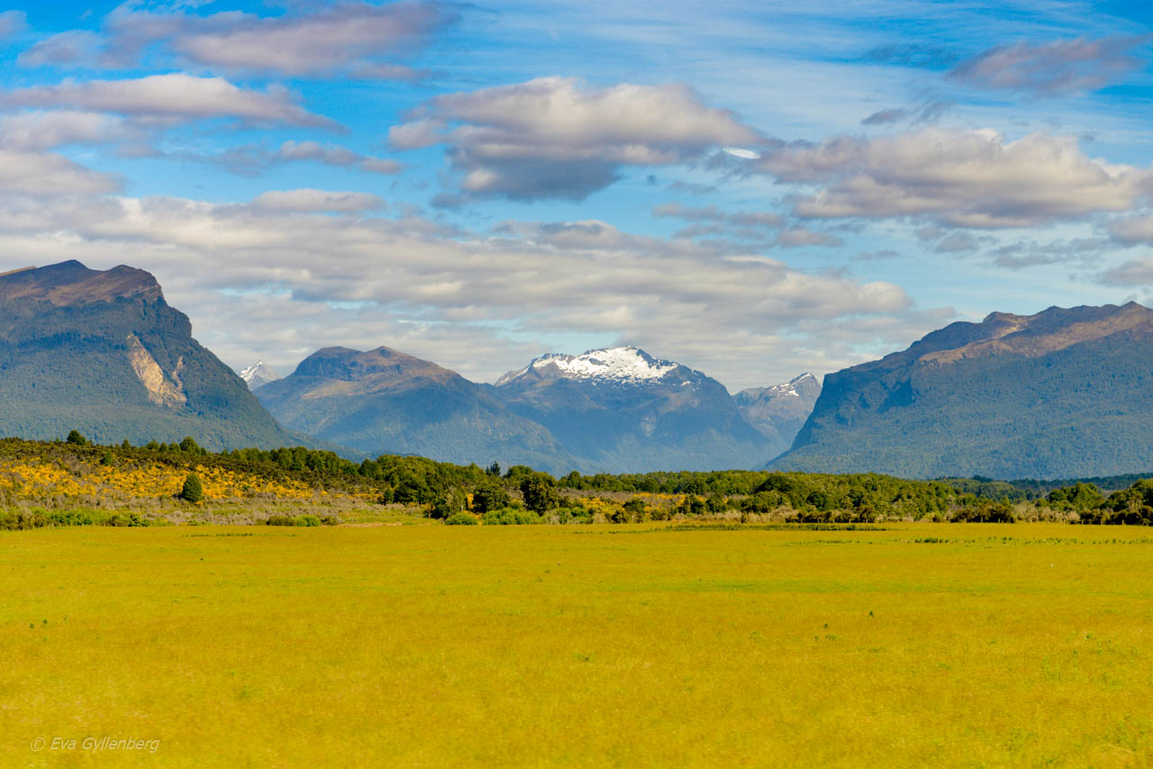 Snow-capped mountains and green meadows on the way to Milford Sound