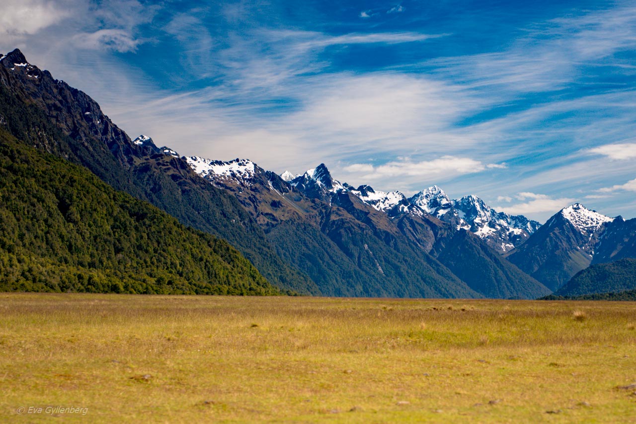 Snöklädda berg på vägen till Milford Sound