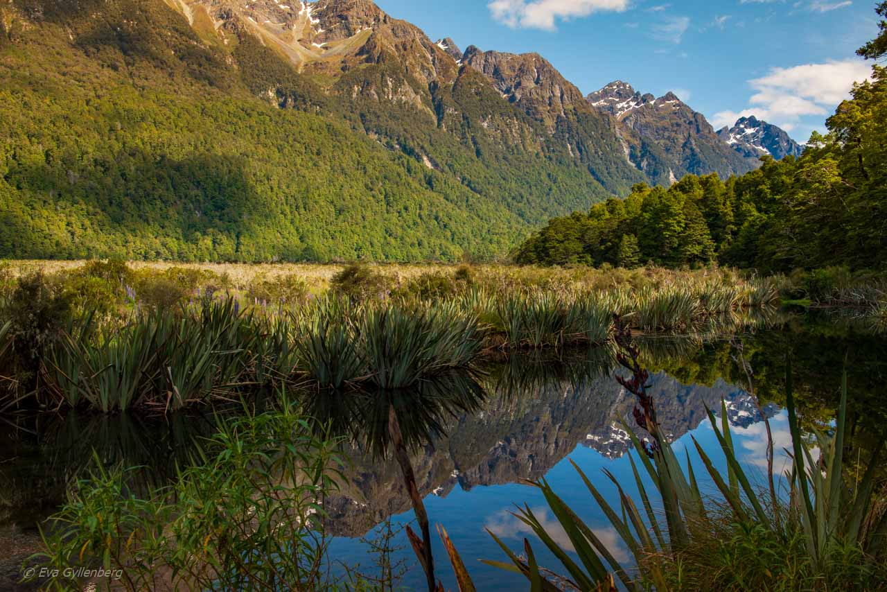 Mirror lake på vägen till Milford Sound