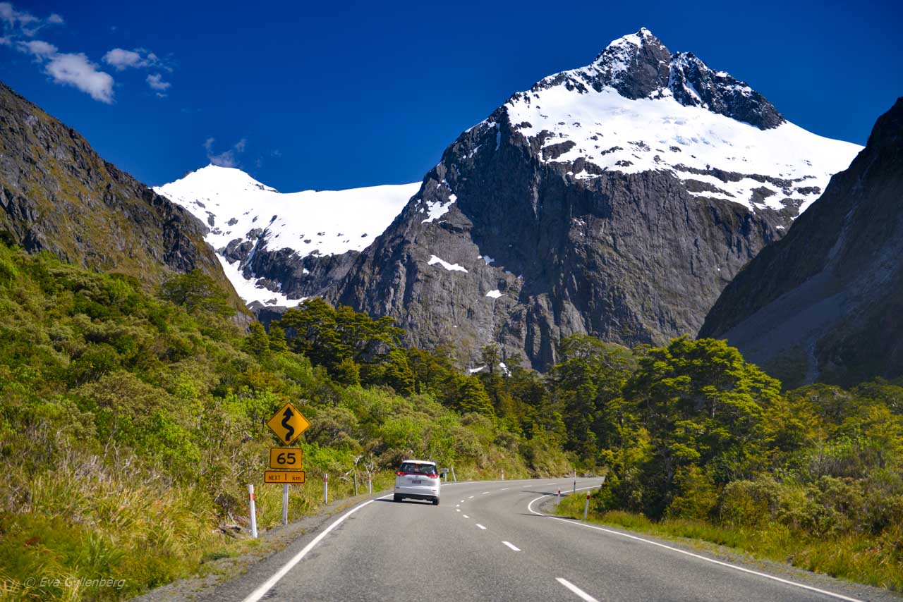 Vägen till Milford Sound är kantad av snöklädda berg