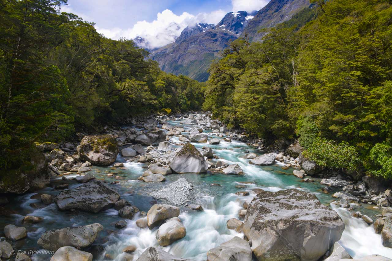 Ljusblå flod på vägen till Milford Sound