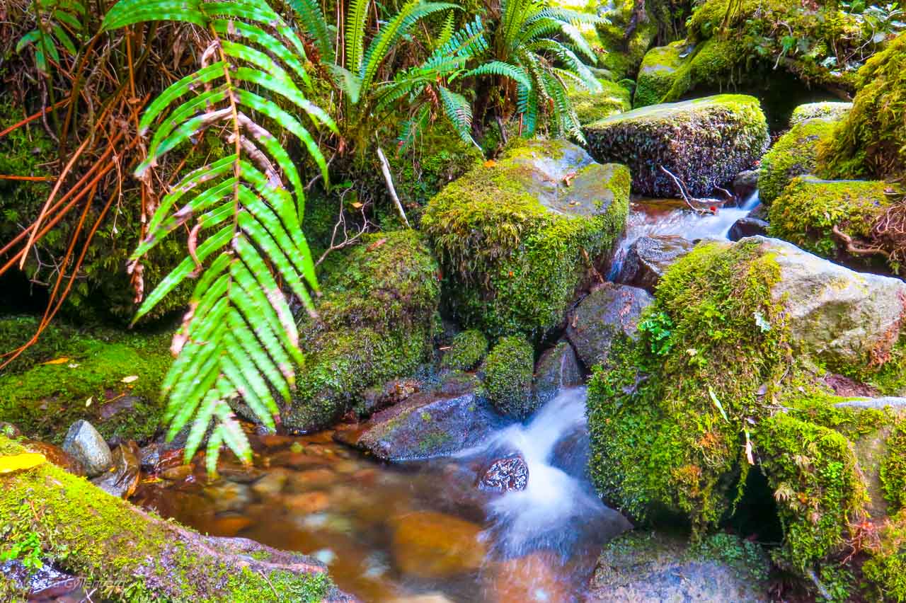 LItet vattenfall på vägen till Milford Sound