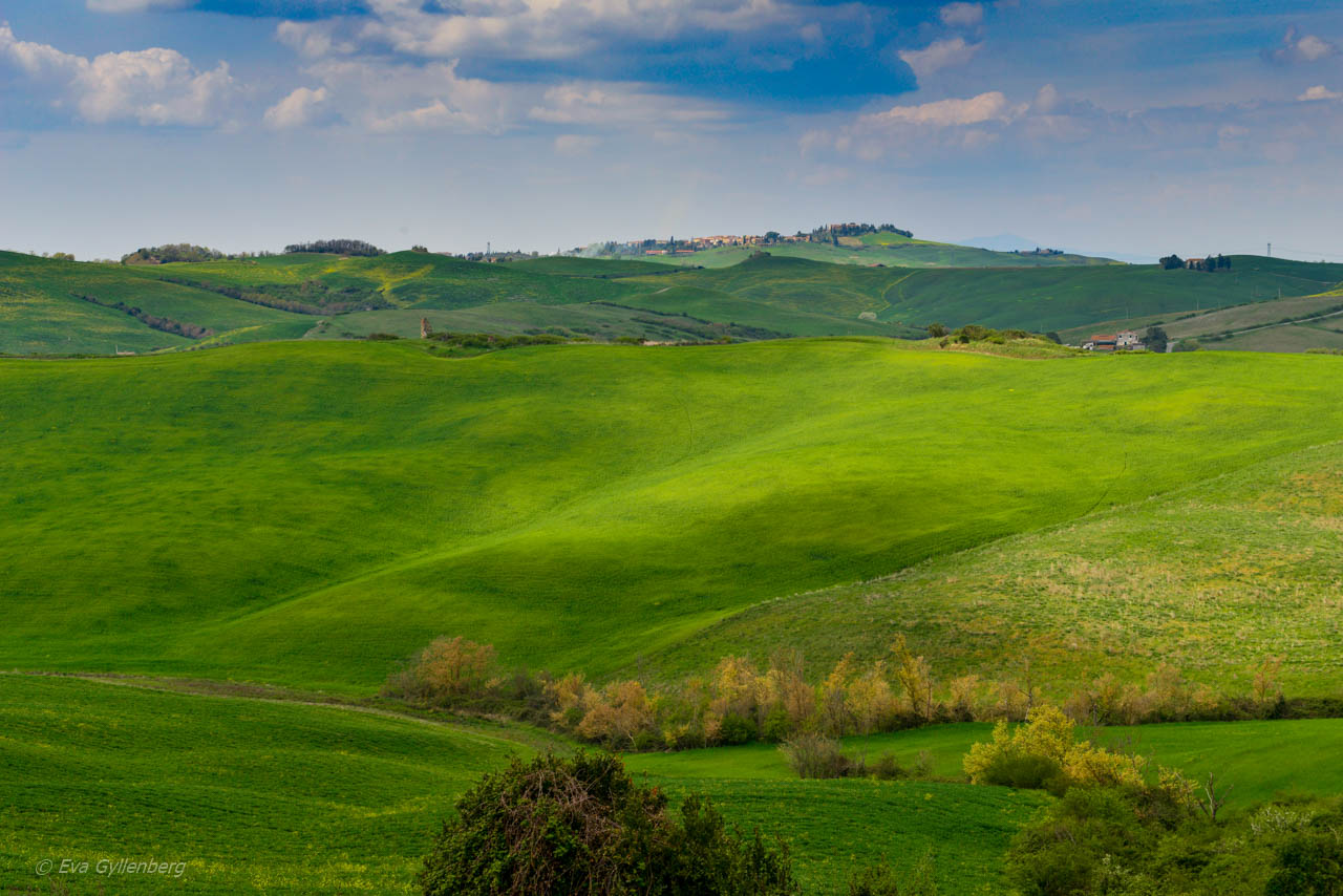 Gröna Toscana i Italien