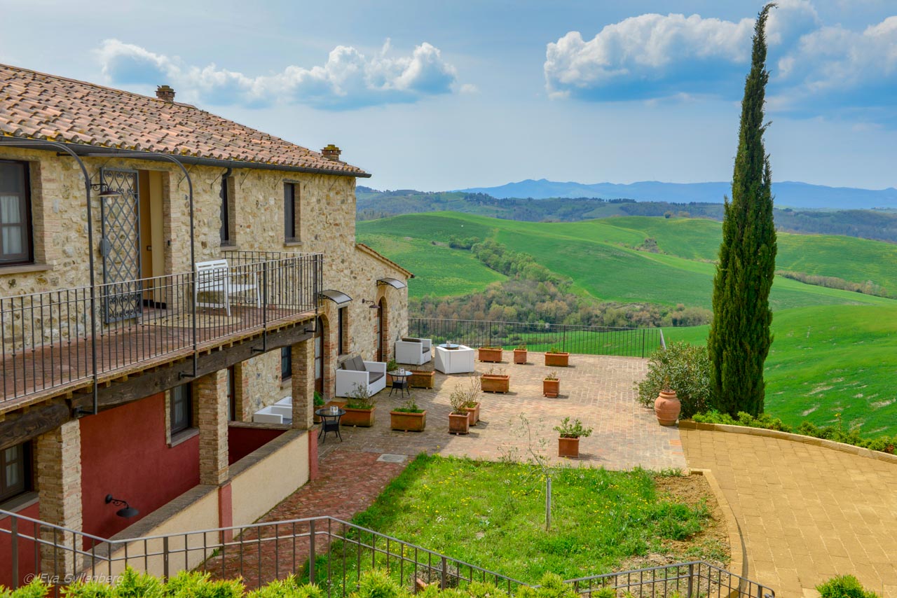 Vyerna från Il Palagetto i Toscana