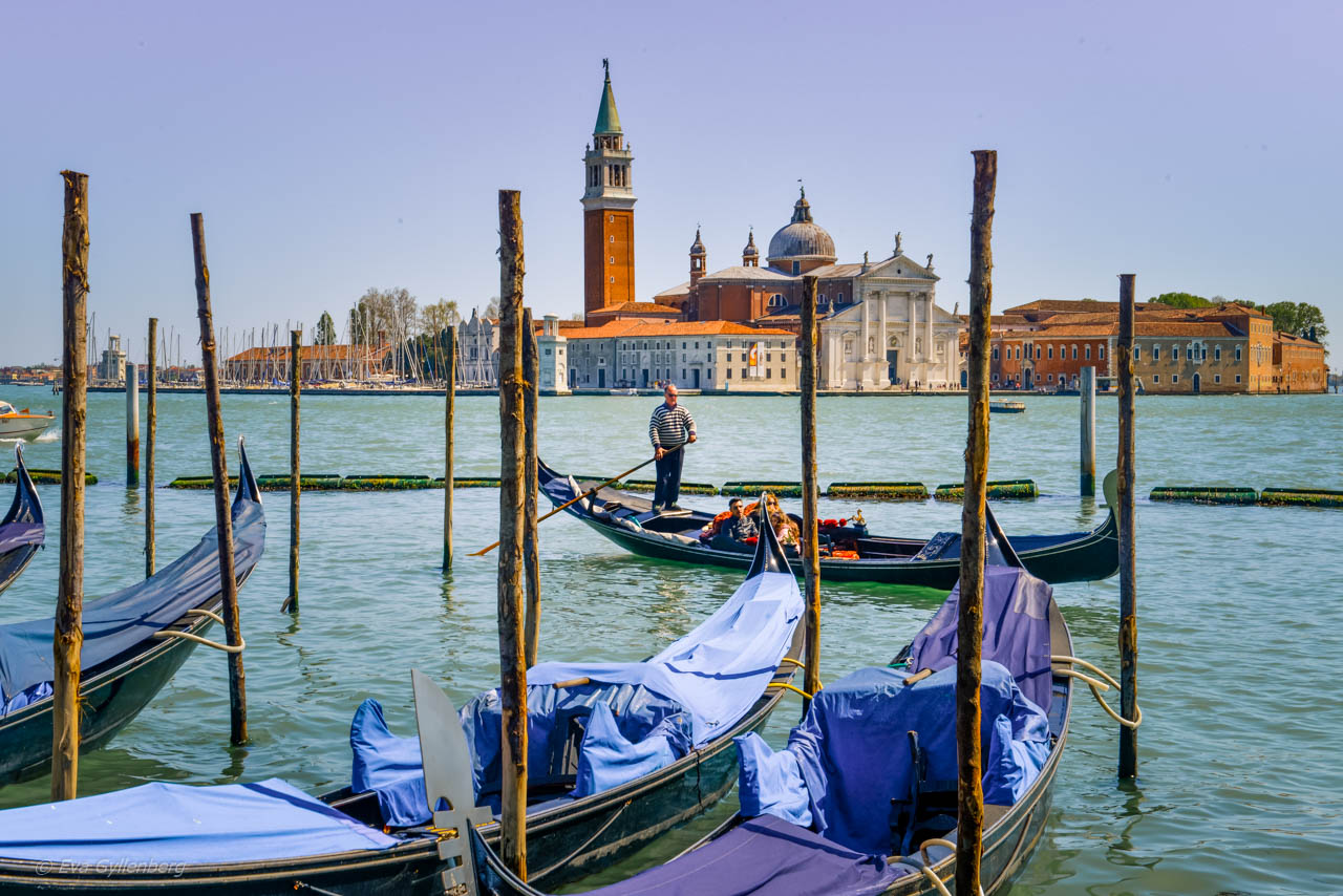 Lagunen och gondolier i Venedig