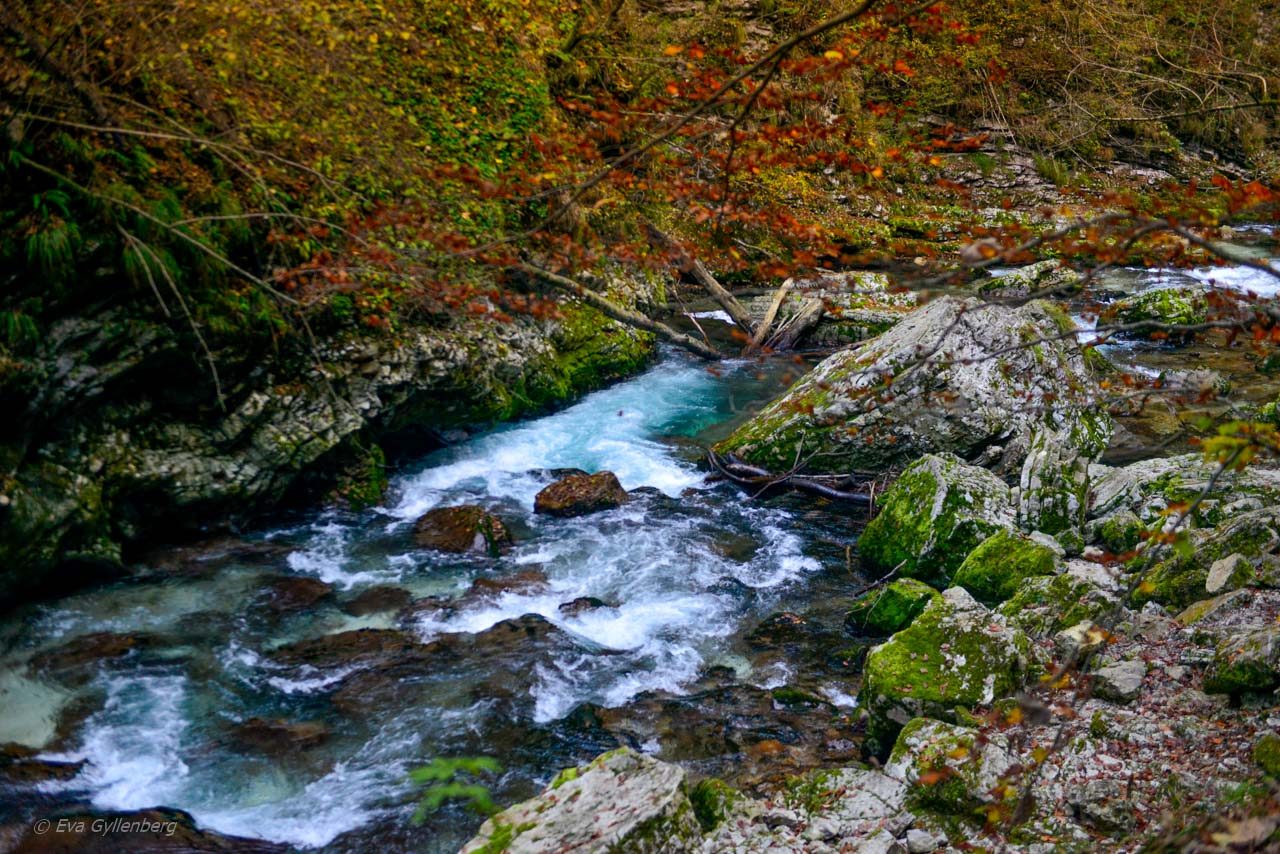 Vintgar Gorge - Slovenien