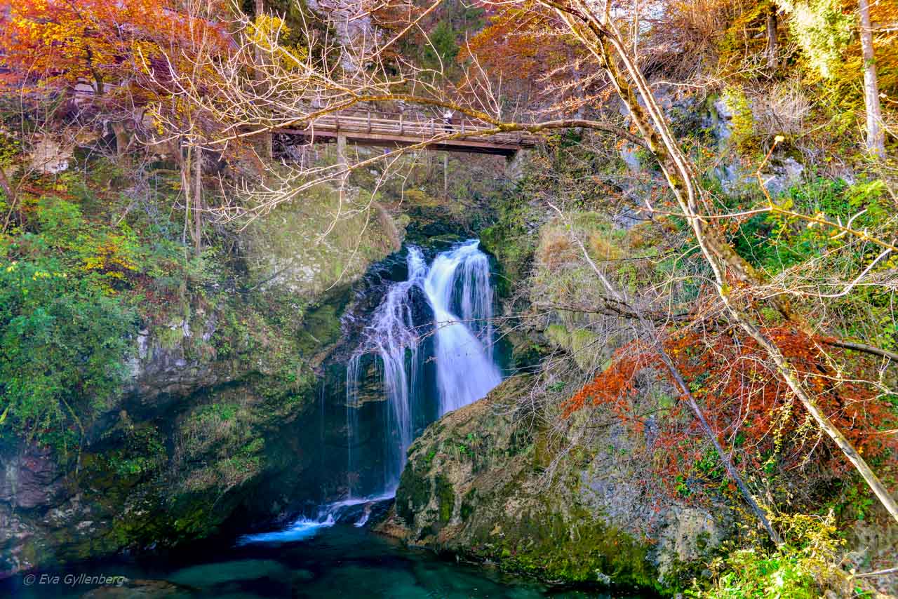 Vintgar Gorge - Slovenien