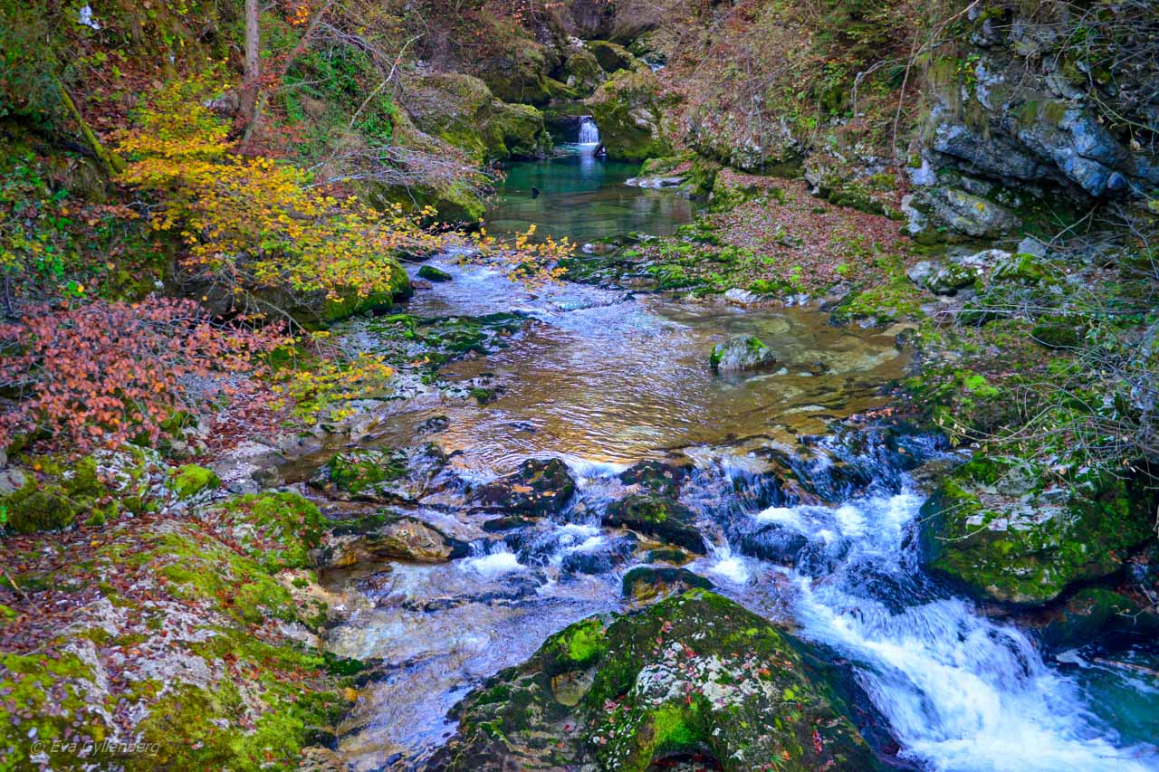 Vintgar Gorge - Slovenien