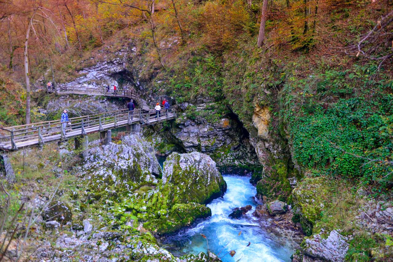 Vintgar Gorge - Slovenien