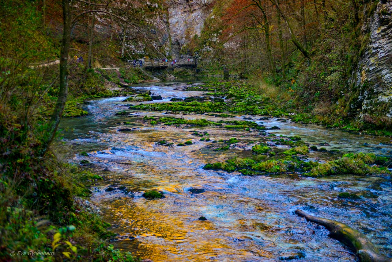 Vintgar Gorge - Slovenien