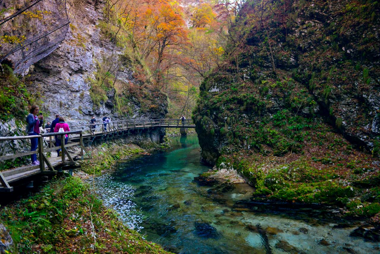 Vintgar Gorge - Slovenien