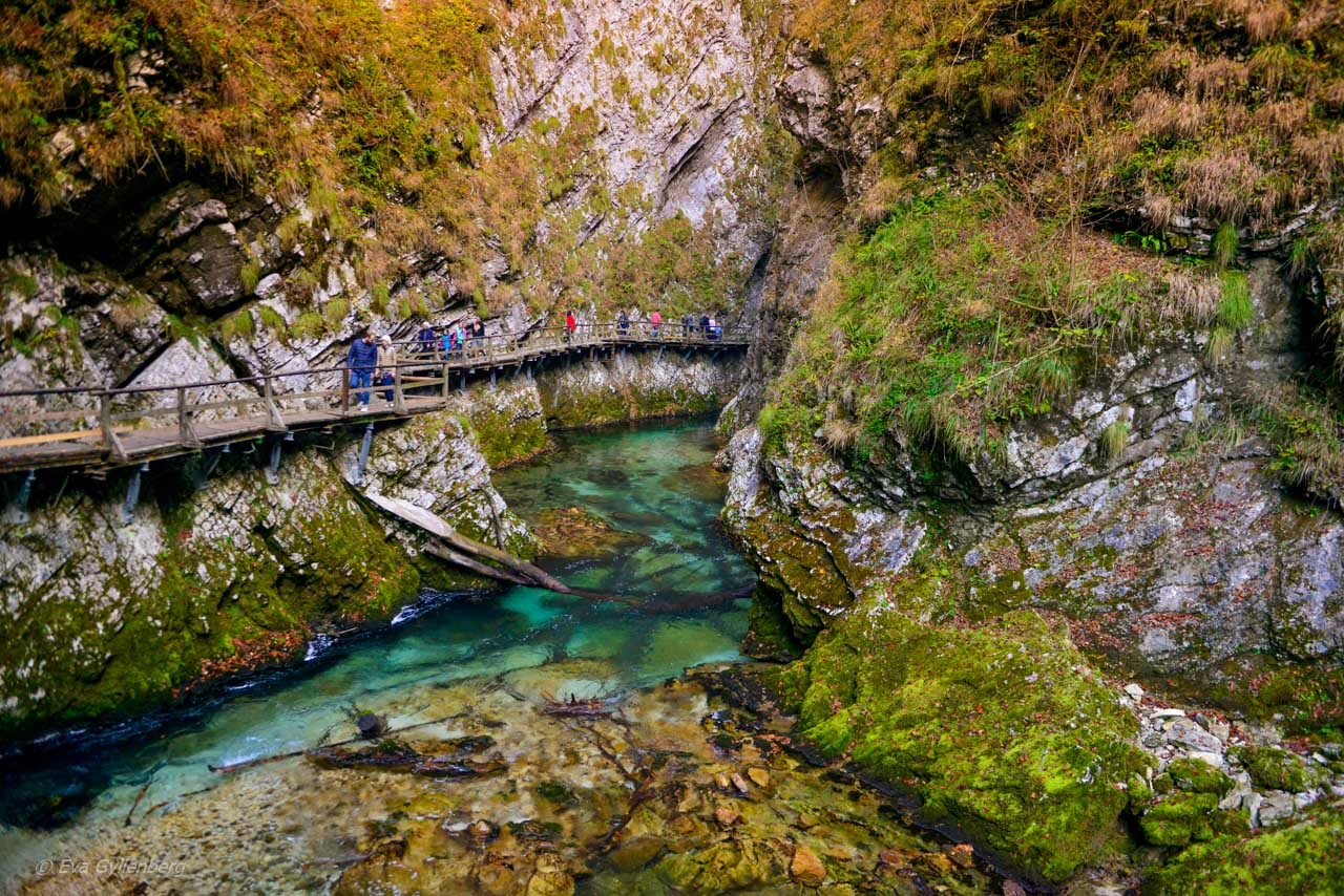 Vintgar Gorge - Slovenien