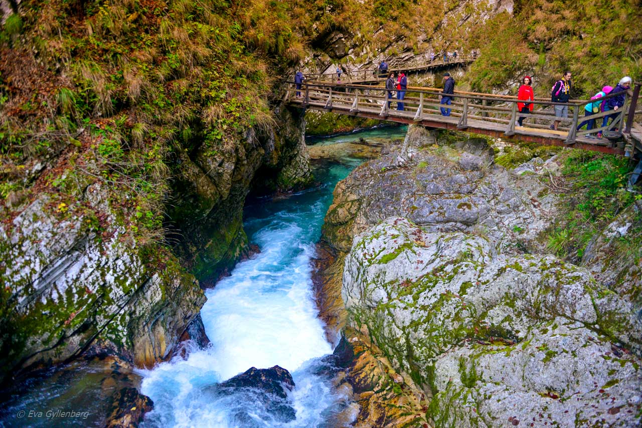 Vintgar Gorge - Slovenien