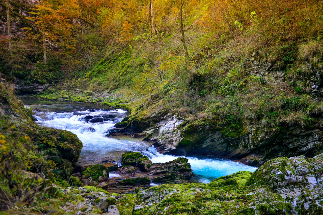 Vintgar Gorge - Slovenien