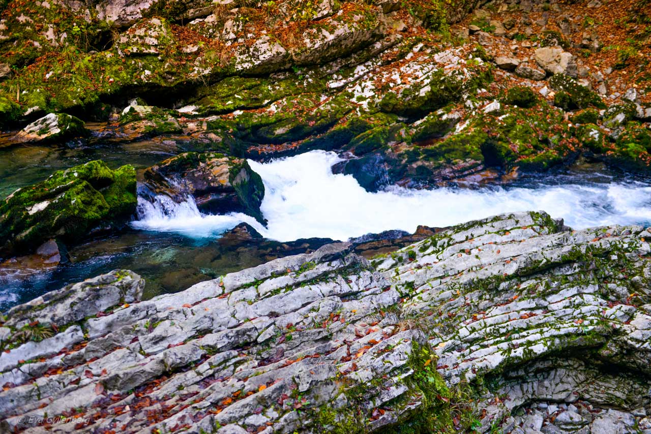 Vintgar Gorge - Slovenien
