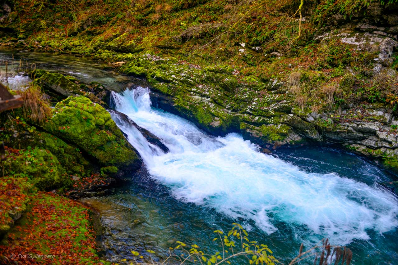 Vintgar Gorge - Slovenien