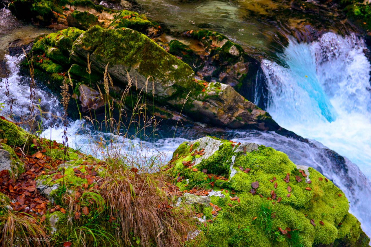 Vintgar Gorge - Slovenien