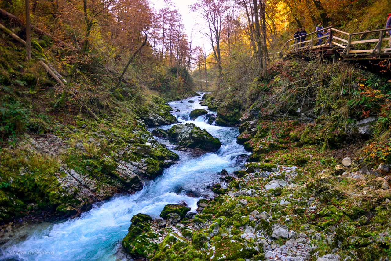 Vintgar Gorge - Slovenien