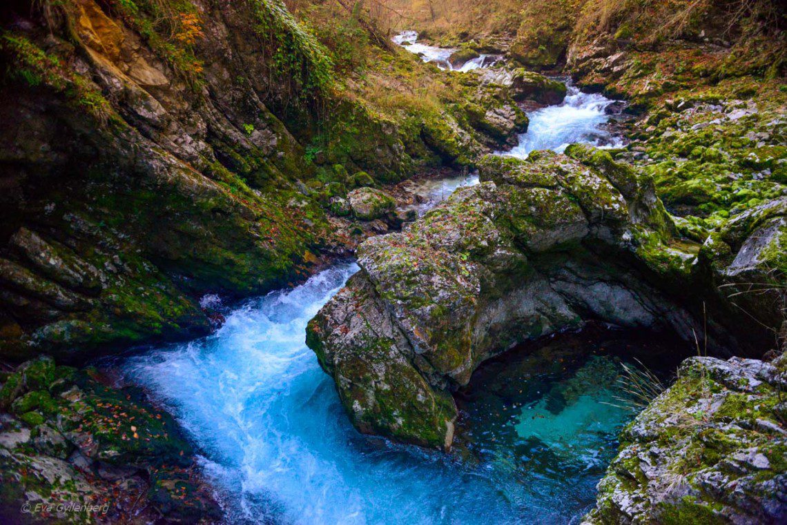 Vattnet strömmar fram i kringelkrokar i Vintgar Gorge