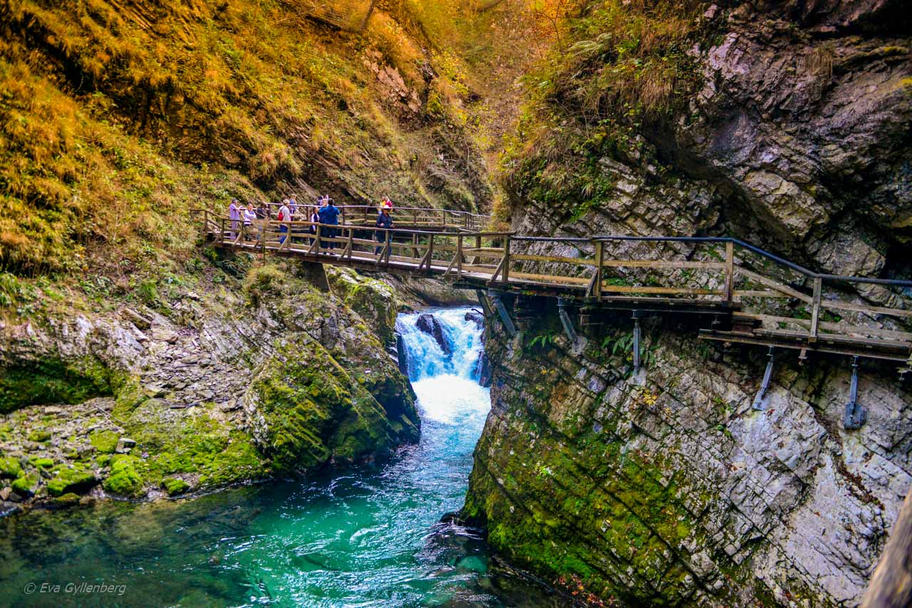 Bro över ravinen Vintgar Gorge