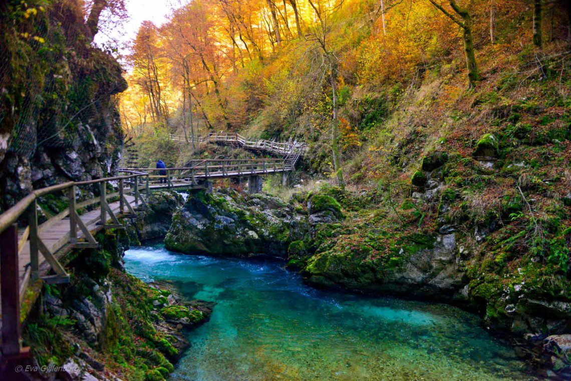 Hösftfärger under en vandring i Vintgar Gorge, Slovenien