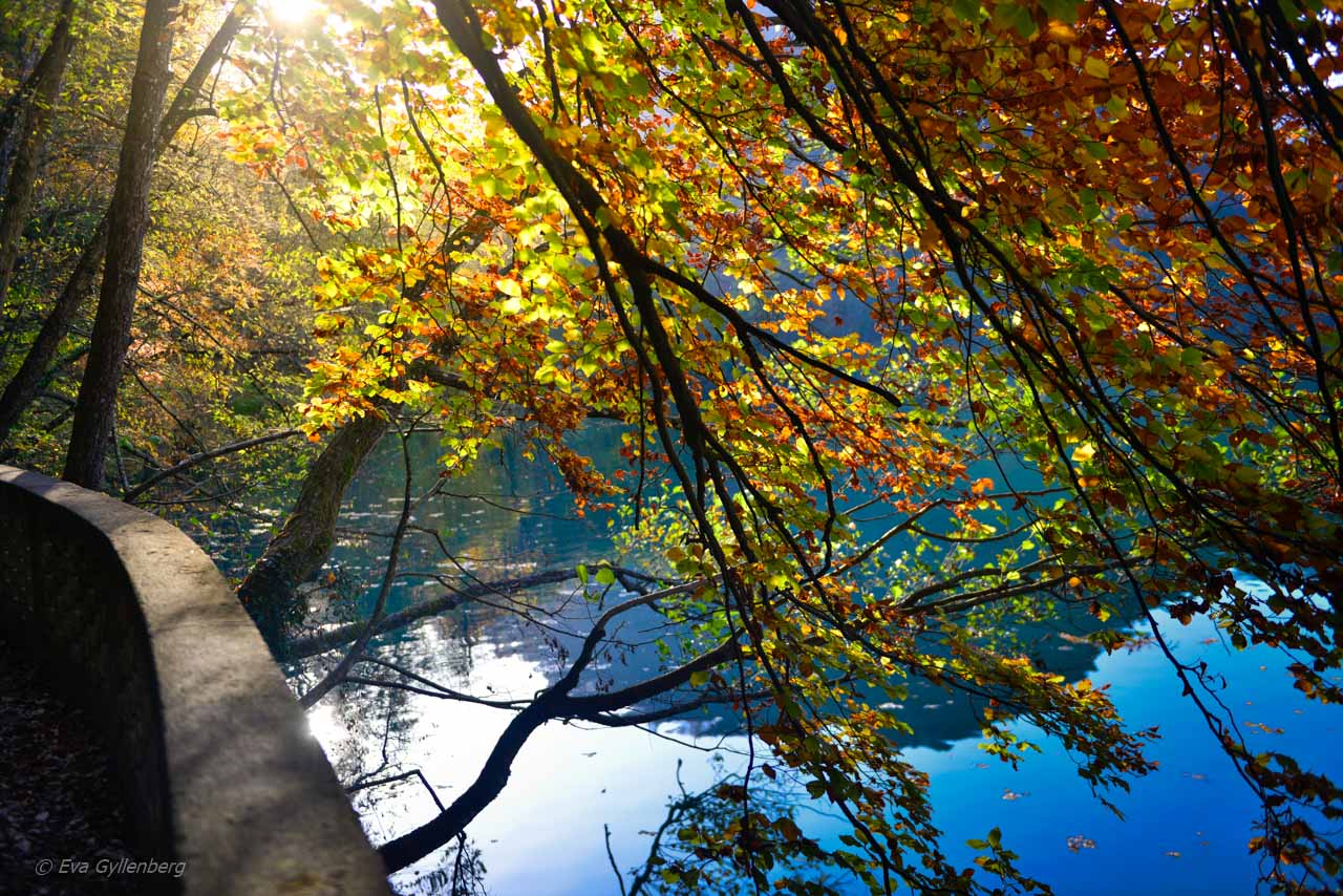 Vandringsleden runt Bledsjön