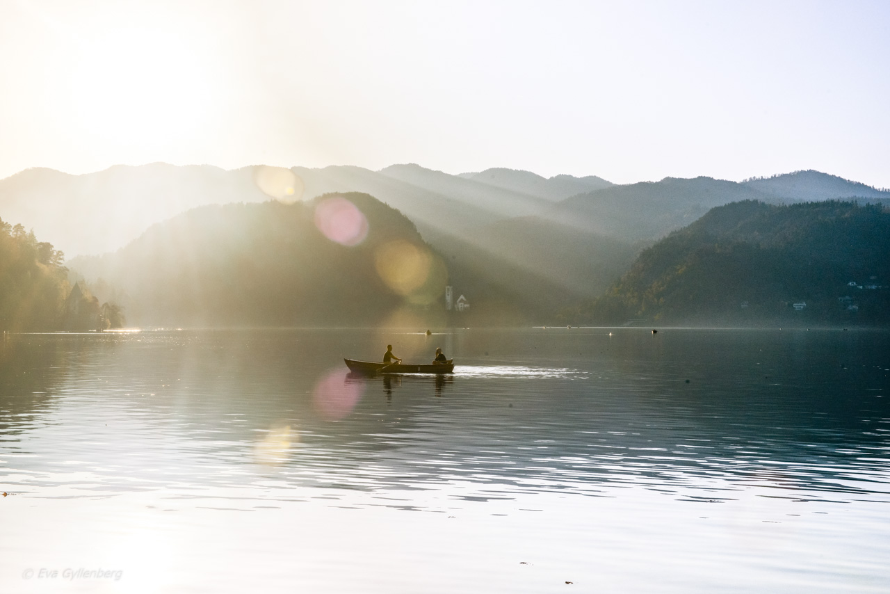 Roddare i solnedgång vid Bledsjön