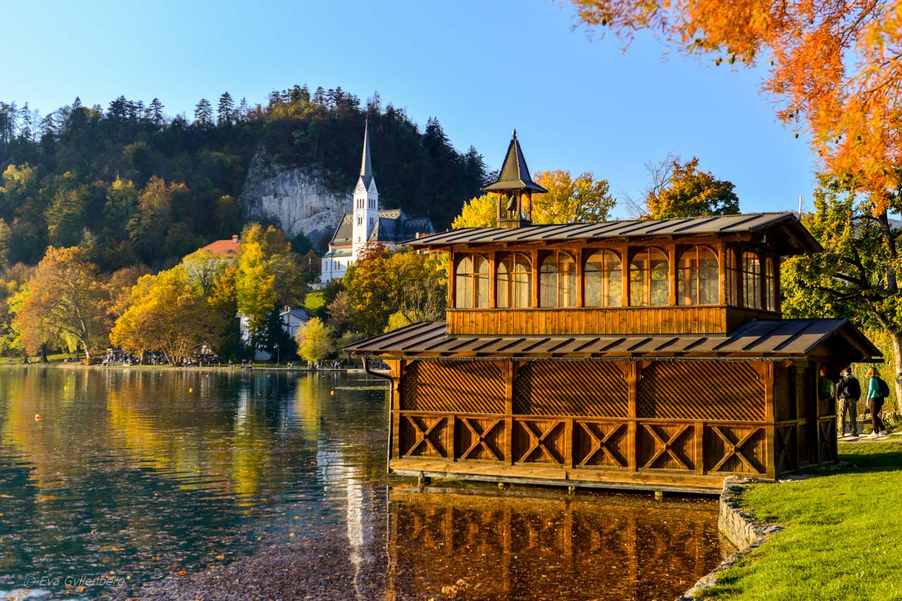 Lake Bled i Slovenien