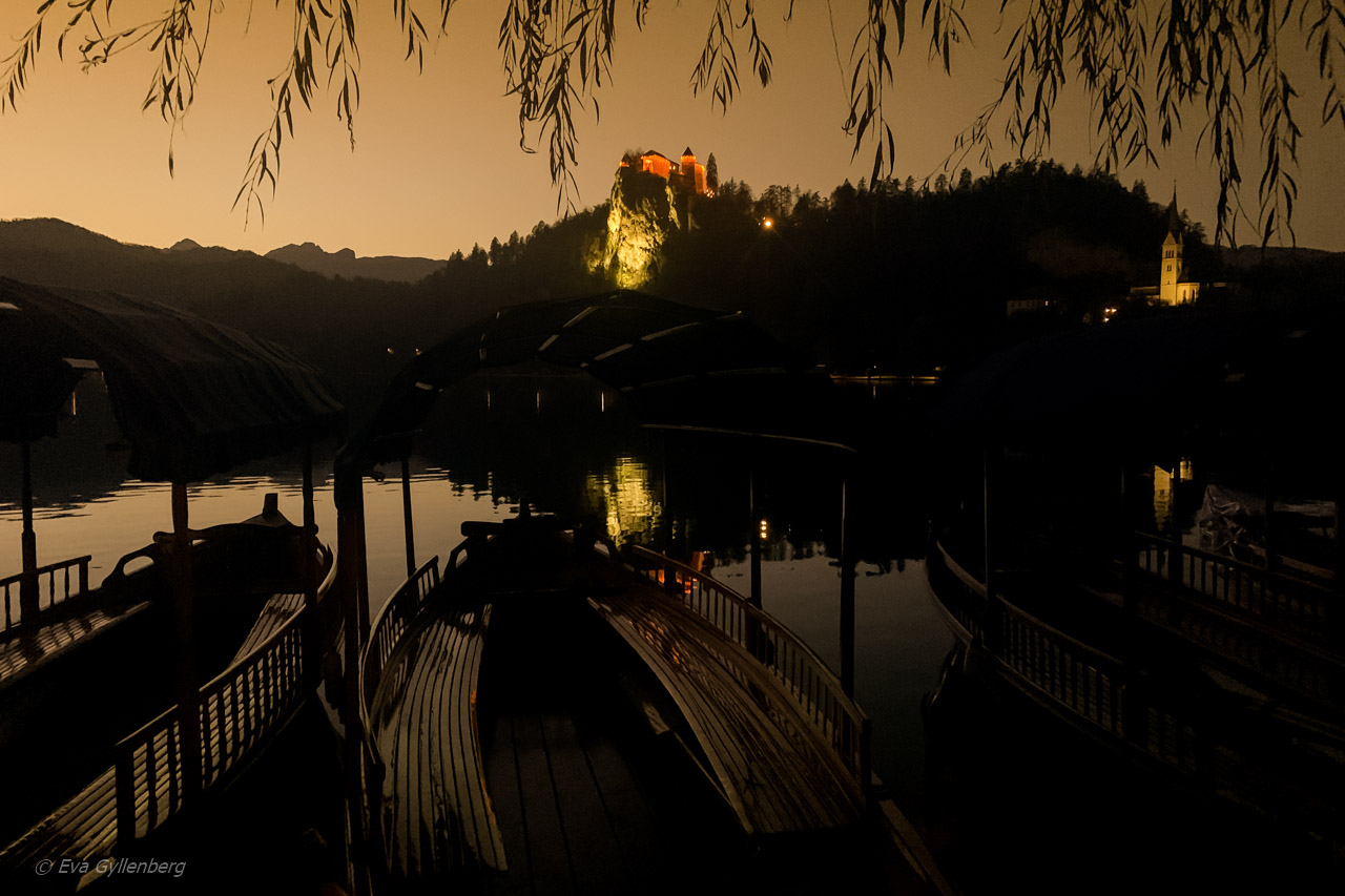 Bled-Bledsjön-Slovenien