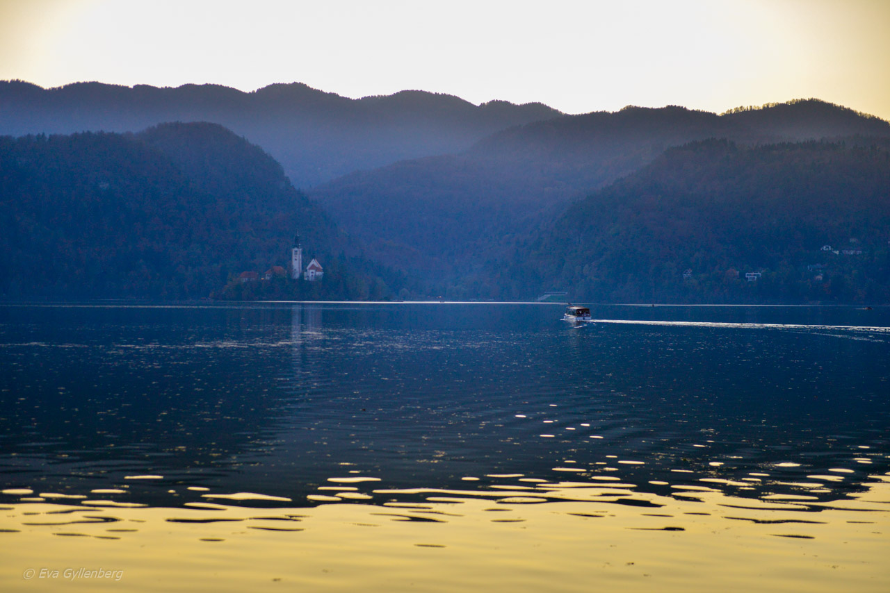 Bled-Bledsjön-Slovenien