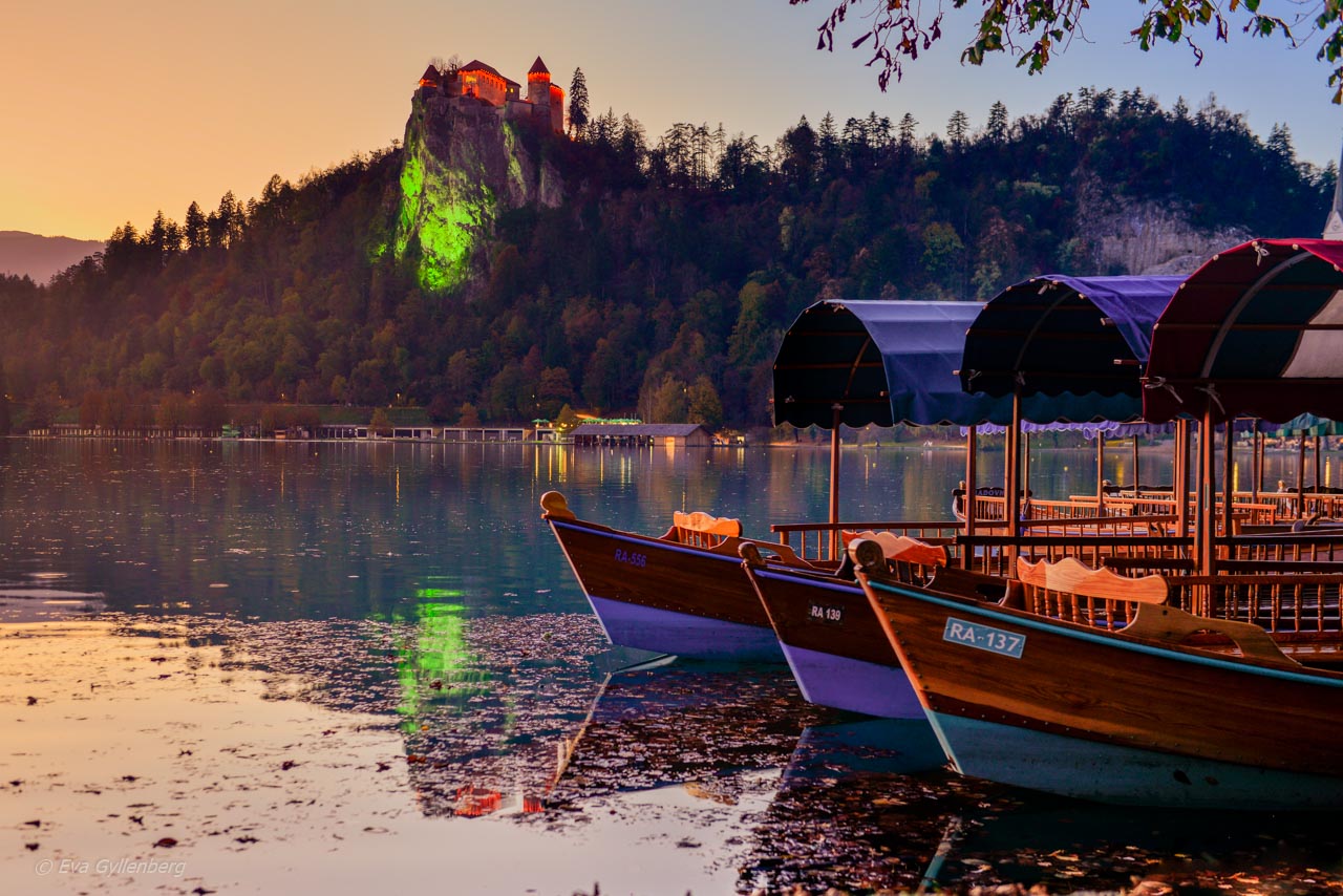 Bled i Slovenien