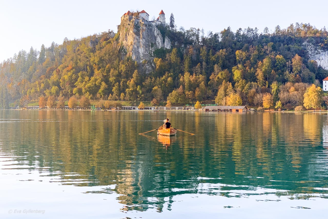 Roddbåt på Bledsjön vid slottet - Slovenien