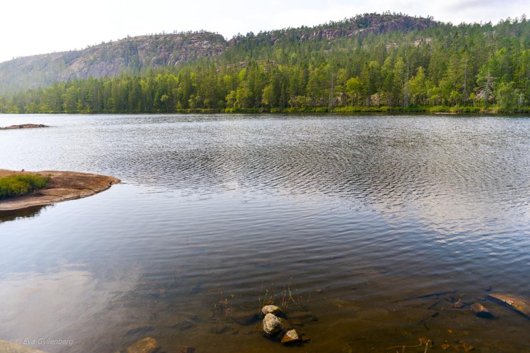 Tärnättvattnen