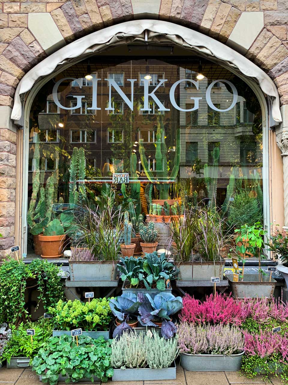 Ginko - Hornsgatan