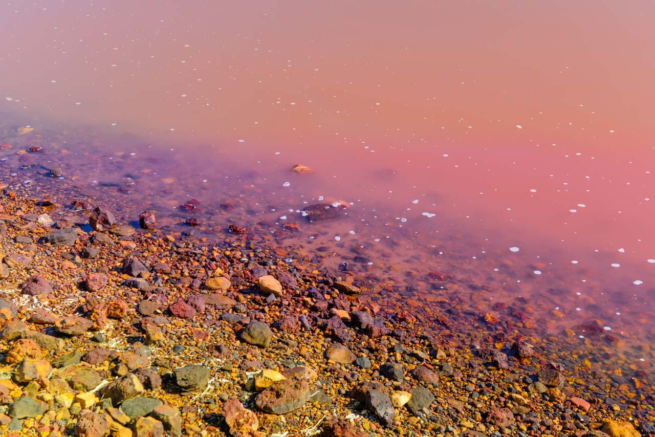 Hutt-Lagoon-Australien - rosa sjö