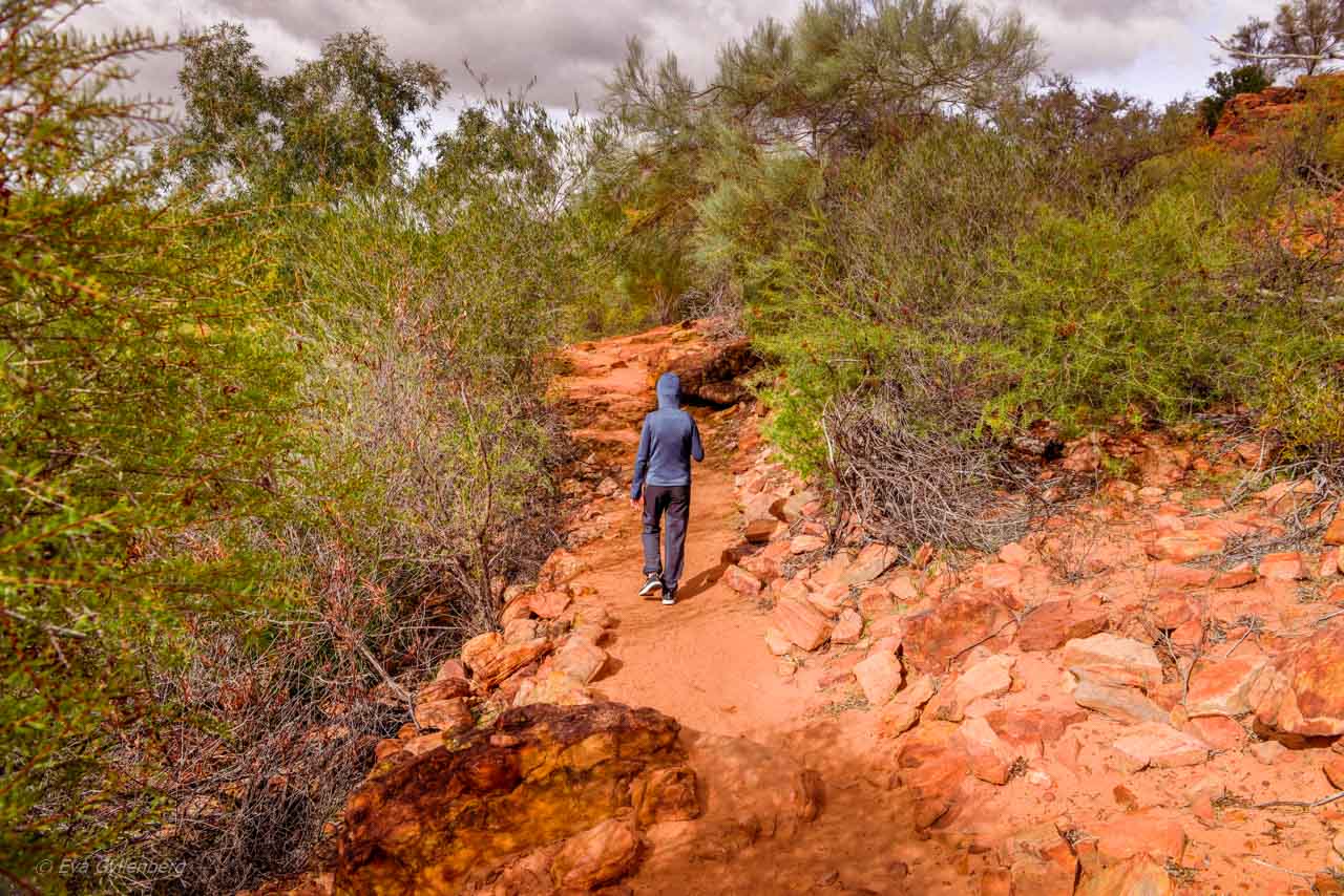 Vandringsled i Kalbarri nationalpark