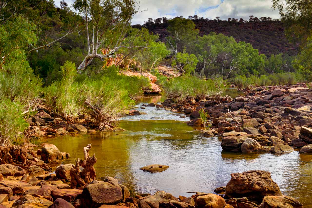 Murchison River i Kalbarri