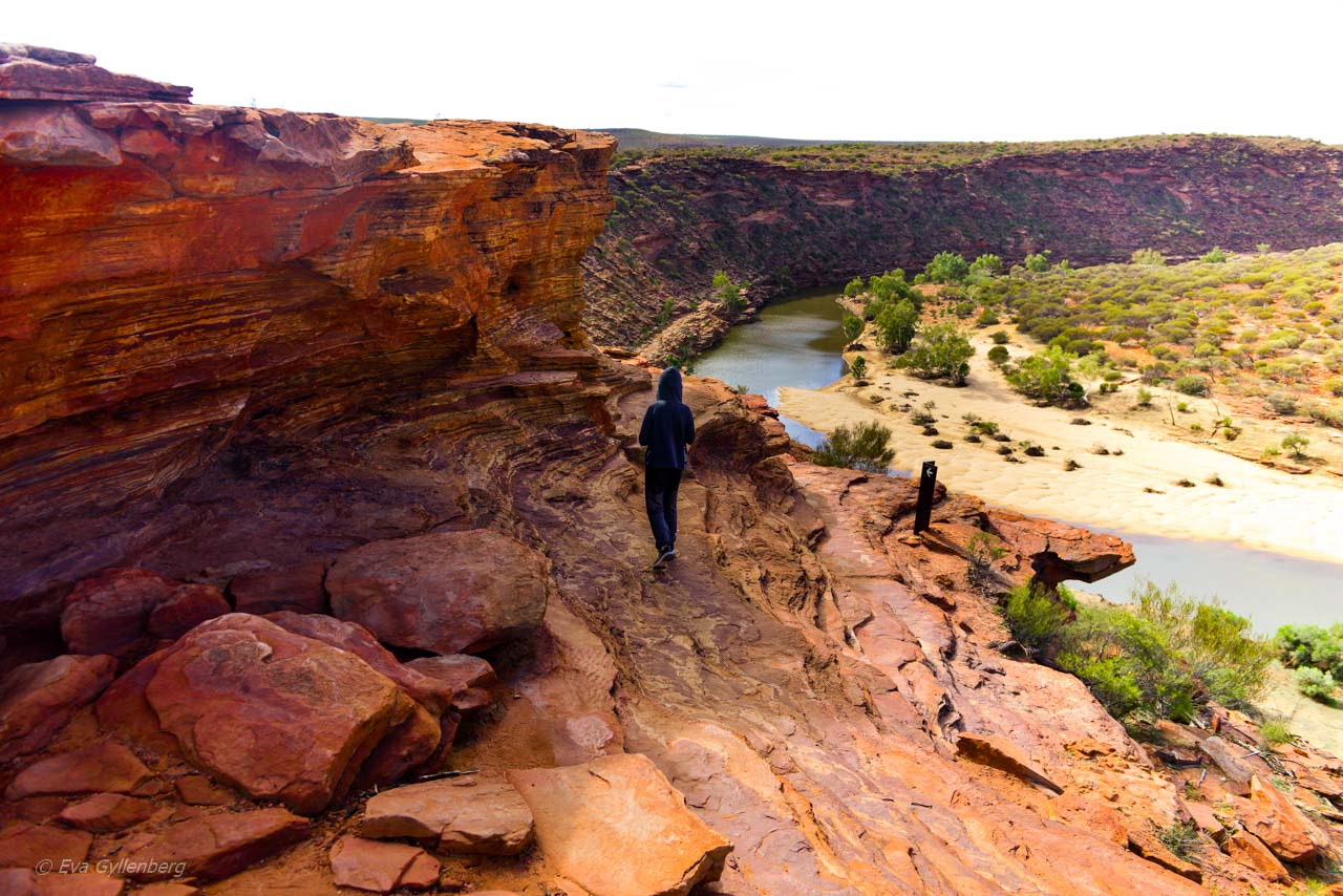 The Loop i Kalbarri9