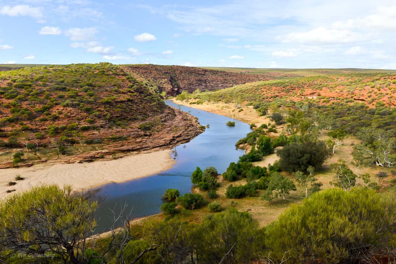 Murchison River utsikt
