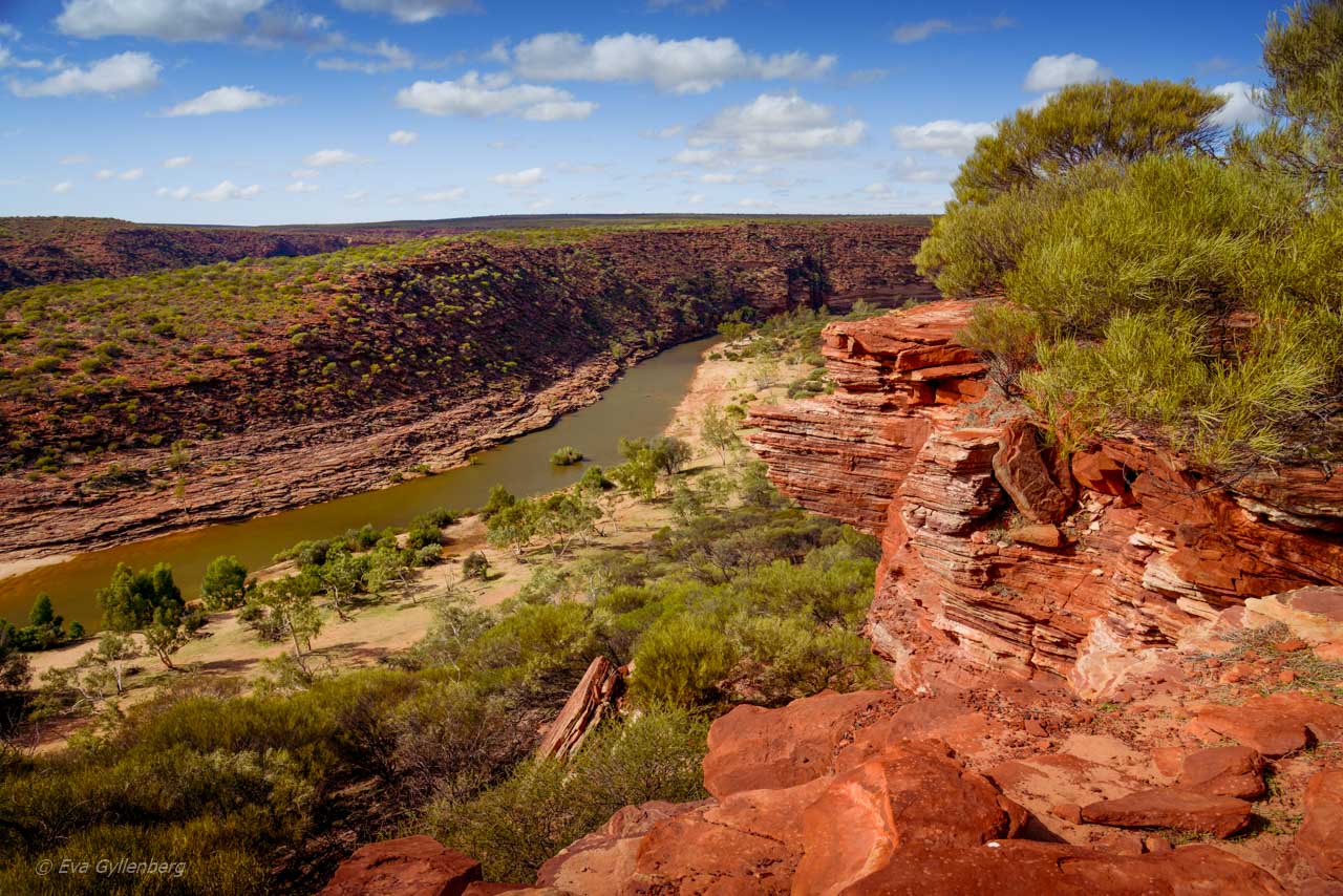 Hawks head i Kalbarri