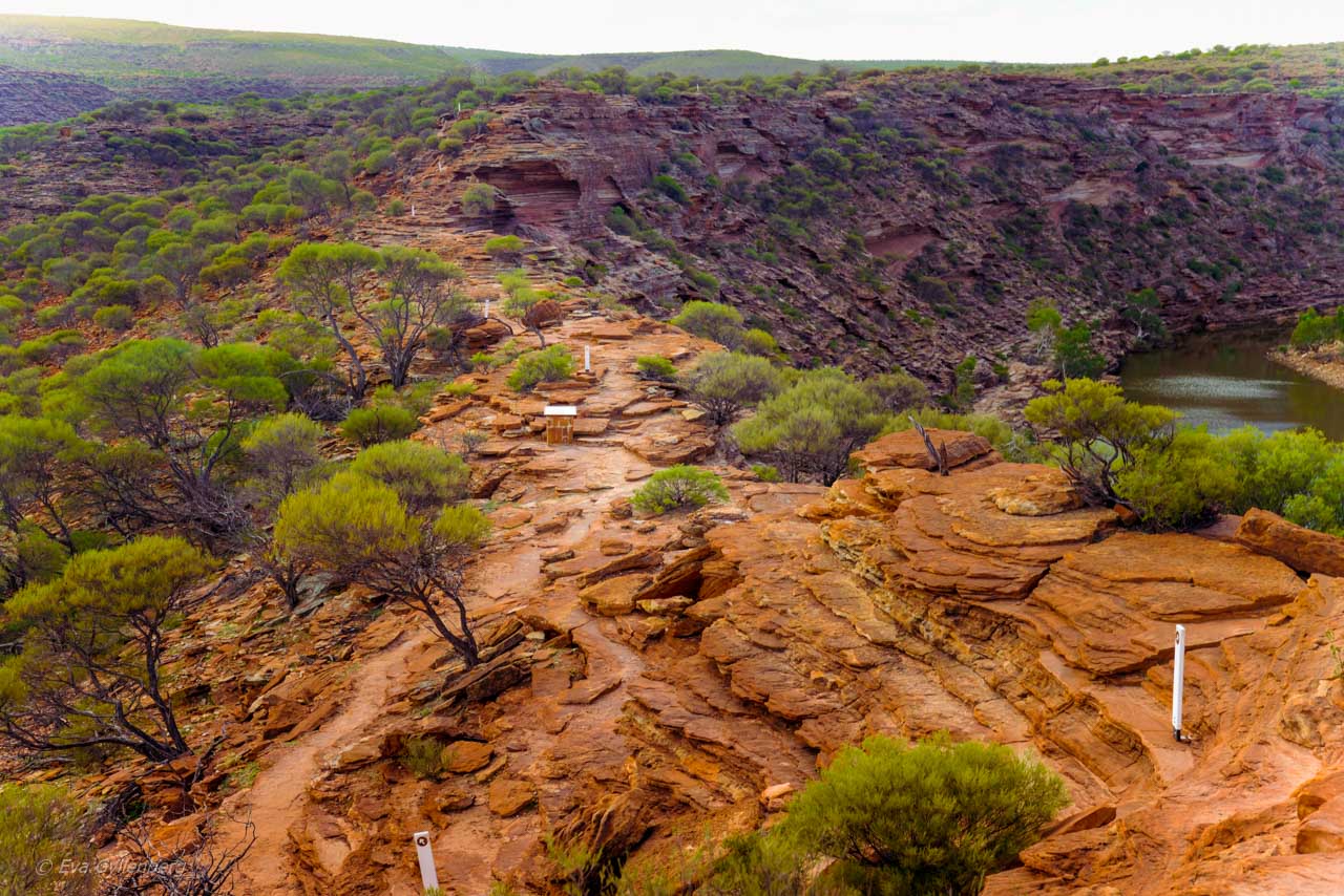 The Loop vandringsled i Kalbarri