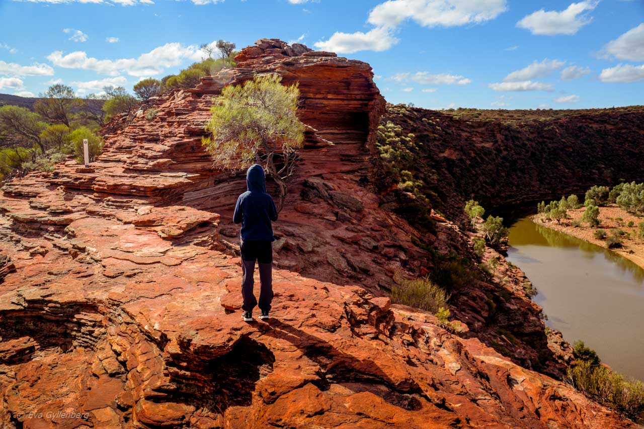 The Loop i Kalbarri