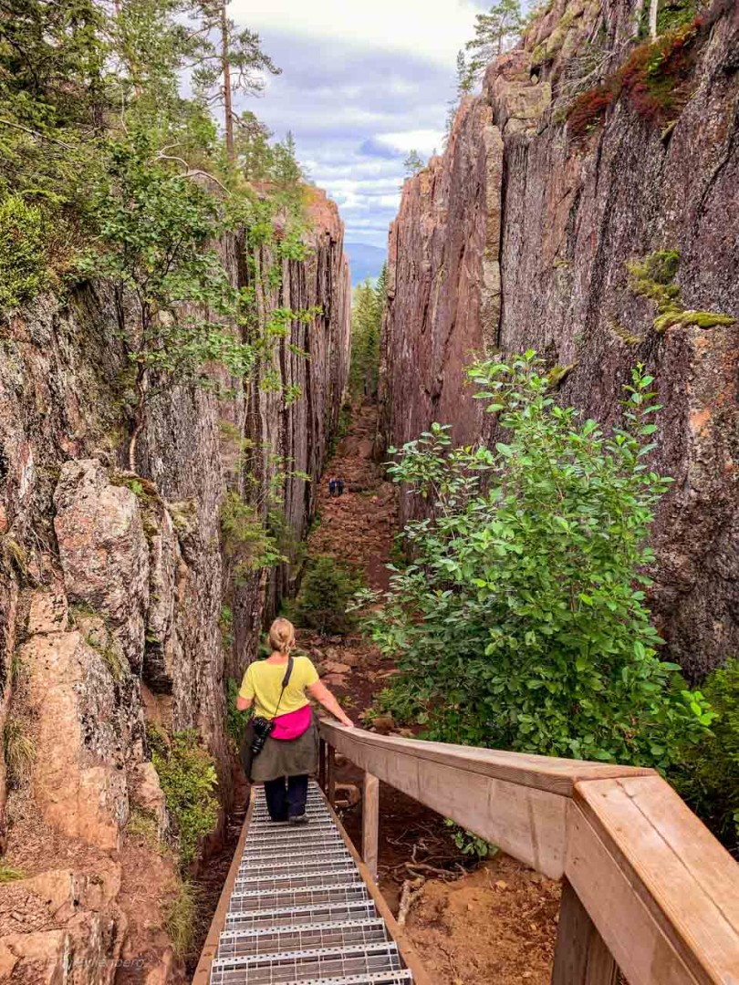 Eva i Skuleskogen