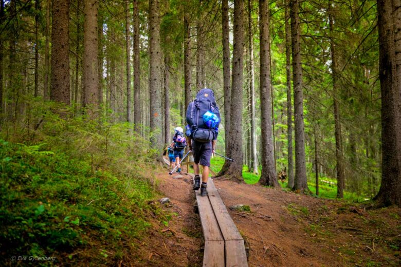 Hikers along the Högakustenleden